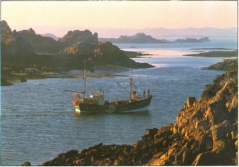 31 BREHAT_PETITE LAURENCE.jpg